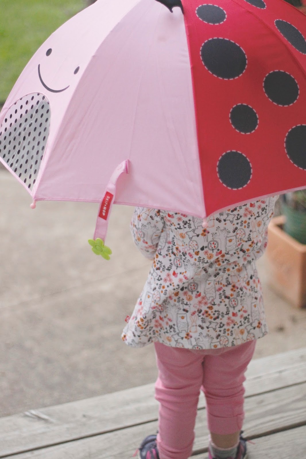 review of ladybug Zoobrella umbrella by Skip Hop and Zutano kids