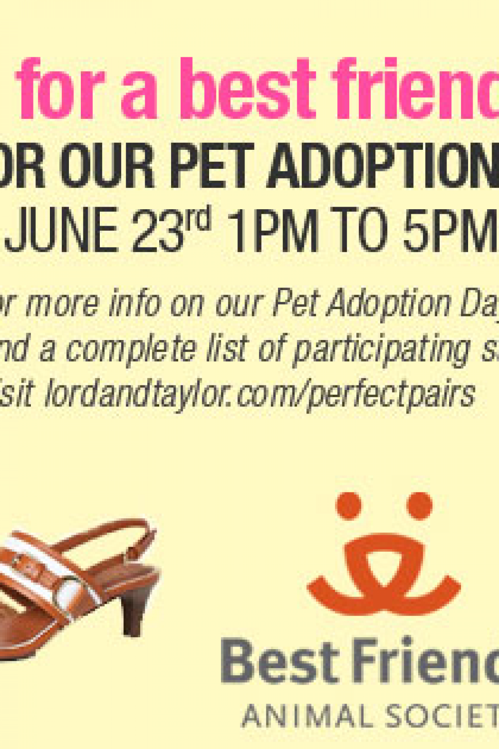 Adopt a Pet…Show Your Shoes