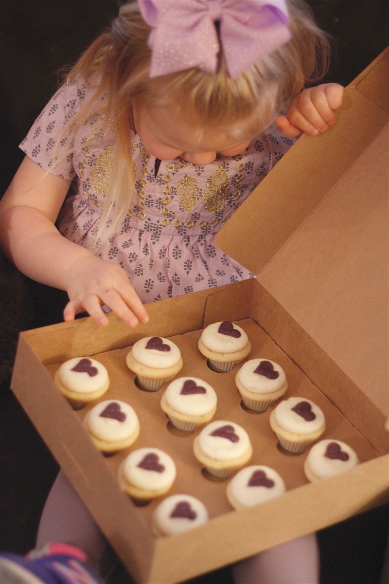 cupcakes on kavanaugh 4